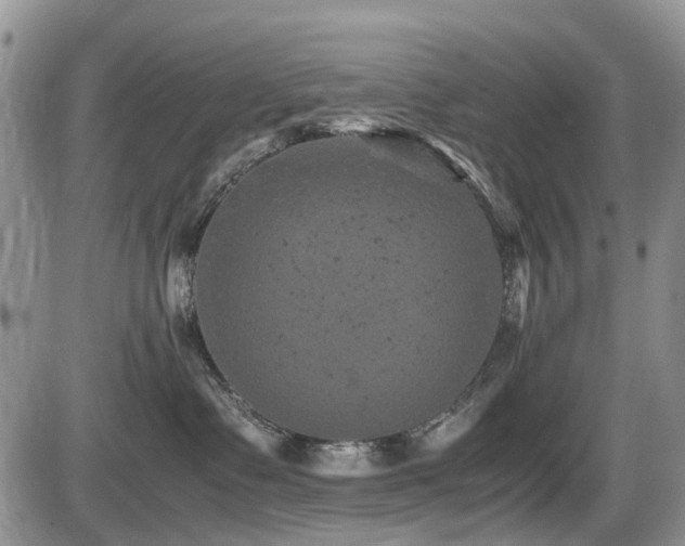 X0000086030335200703231218