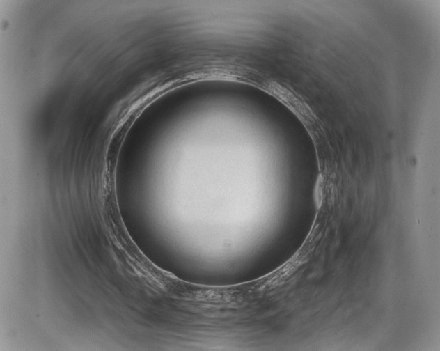 X0000086030338200703231217