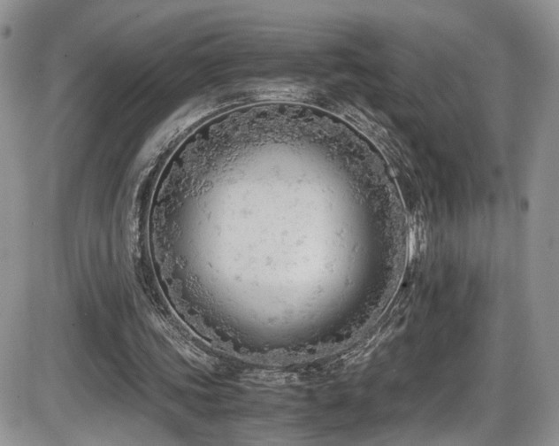 X0000086030339200703231217
