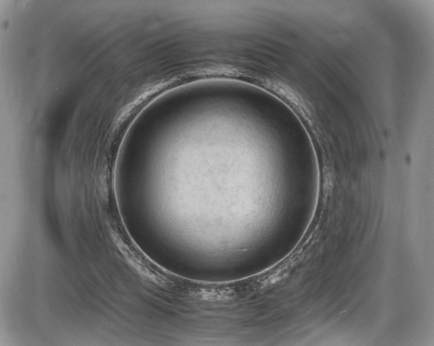 X0000086030345200703231217