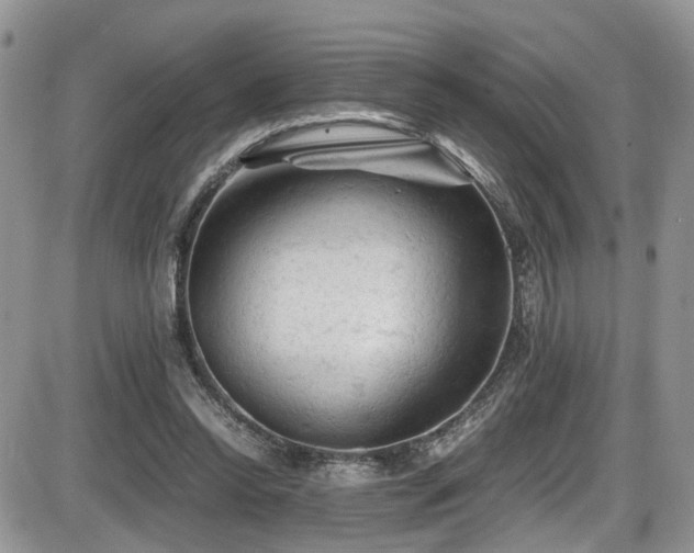 X0000086030350200703231218
