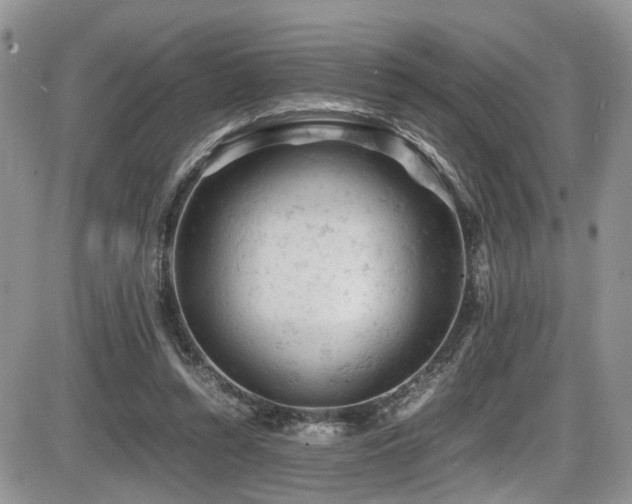 X0000086030352200703231218