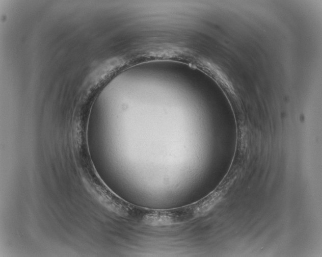 X0000086030354200703231218