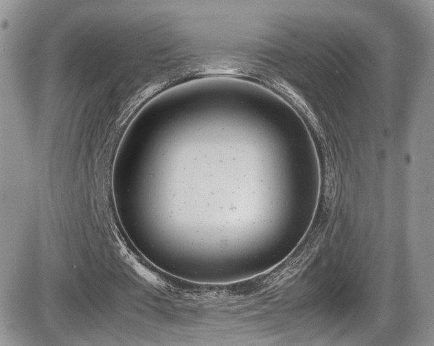 X0000086030385200703231217