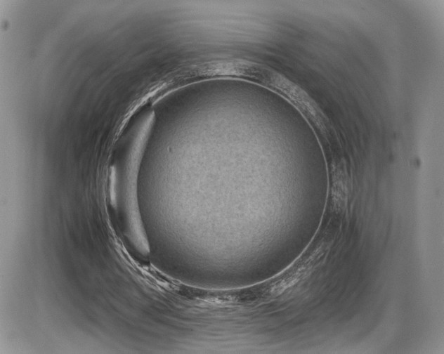 X0000086030386200703231217