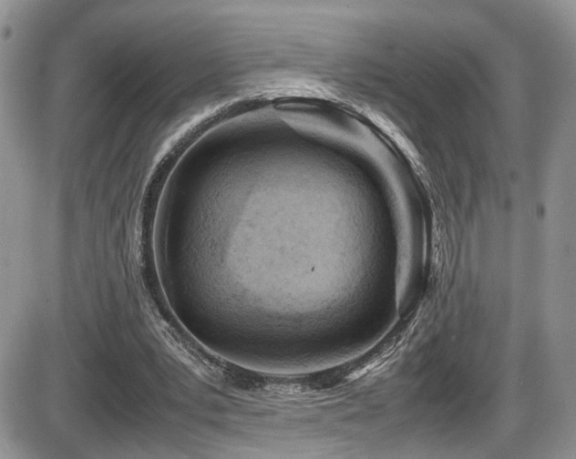 X0000086030391200703231217