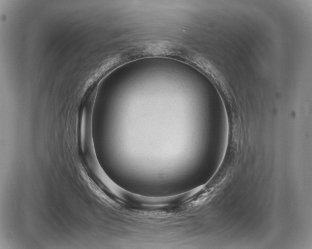 X0000086030393200703231217