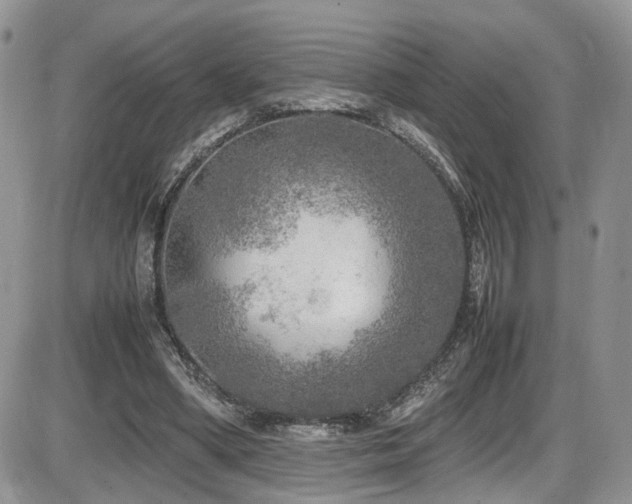 X0000086030394200703231217