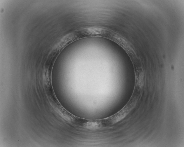 X0000086030418200703231217