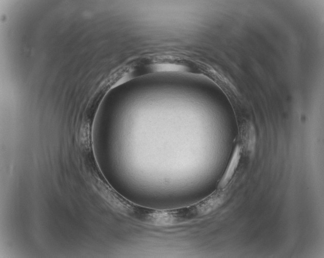 X0000086030425200703231217