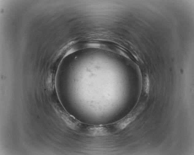 X0000086030428200703231217