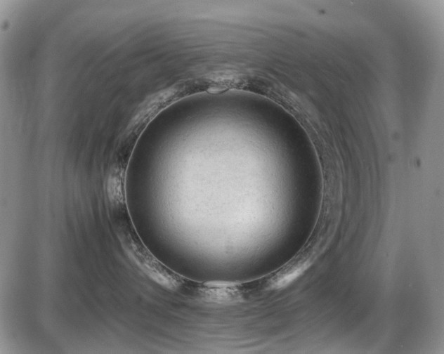 X0000086030432200703231217