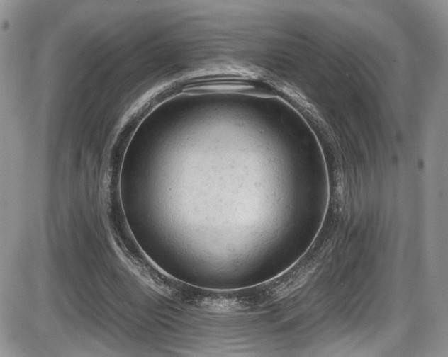 X0000086030440200703231216