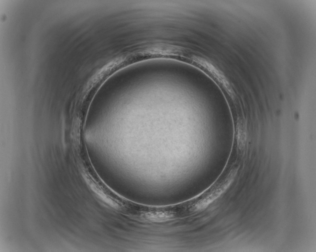 X0000086030445200703231216