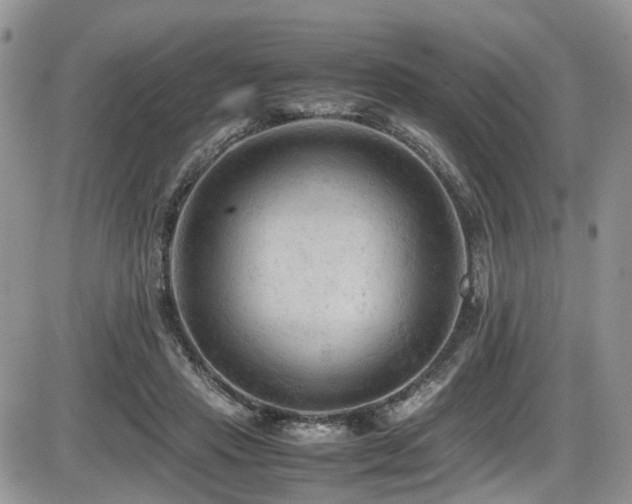 X0000086030453200703231216