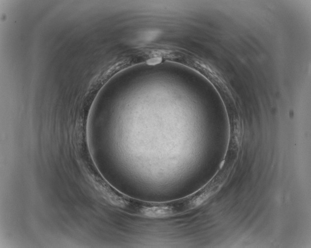 X0000086030461200703231216