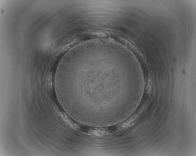 X0000086030466200703231216