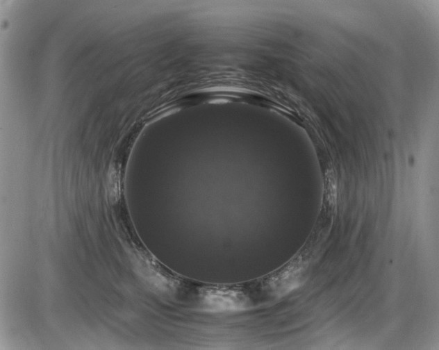X0000086030471200703231216
