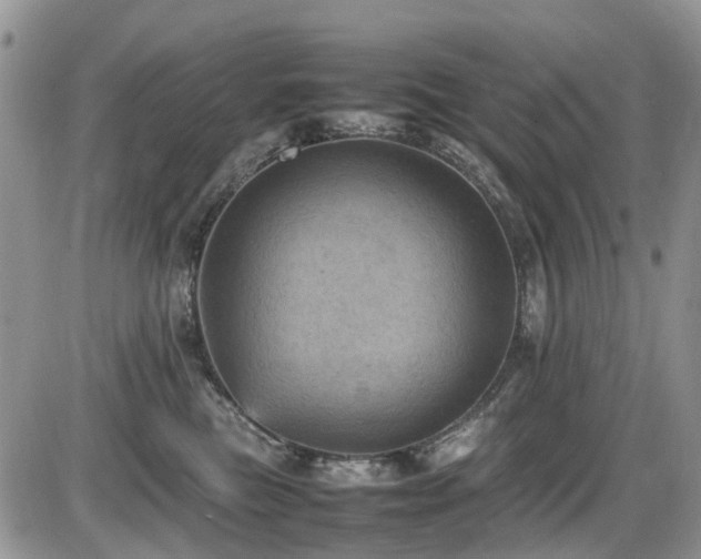 X0000086030473200703231216