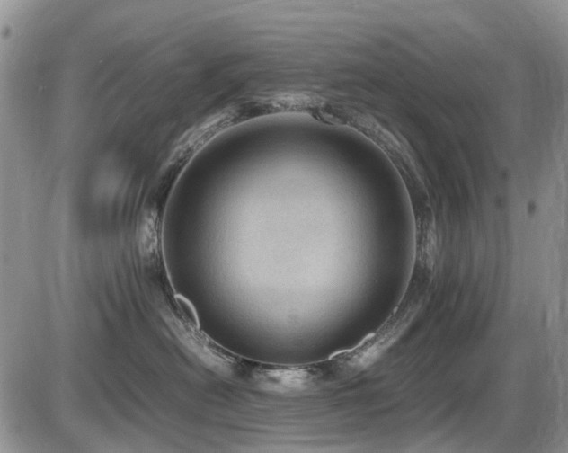 X0000086030478200703231216