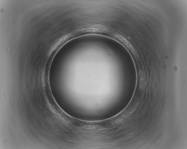 X0000086030482200703231216