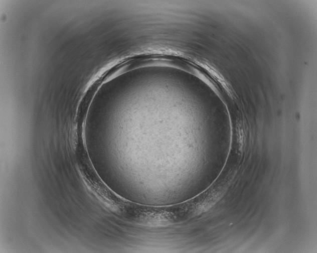 X0000086030488200703231216