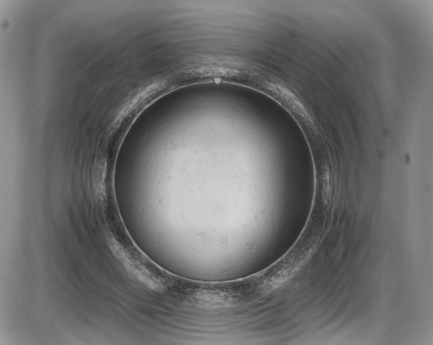 X0000086030490200703231216