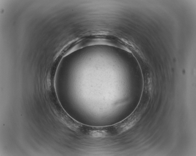 X0000086030508200703231215