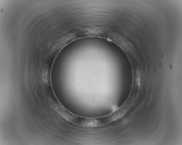 X0000086030514200703231215