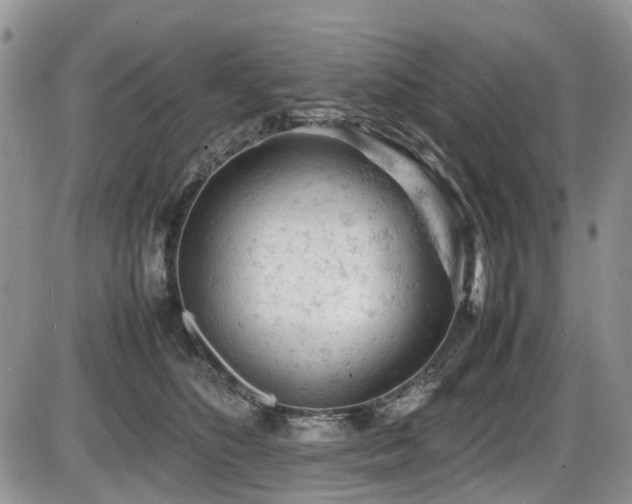 X0000086030516200703231215