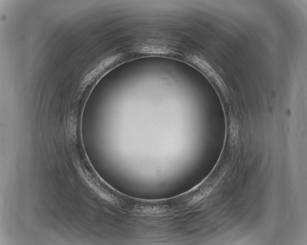 X0000086030533200703231214
