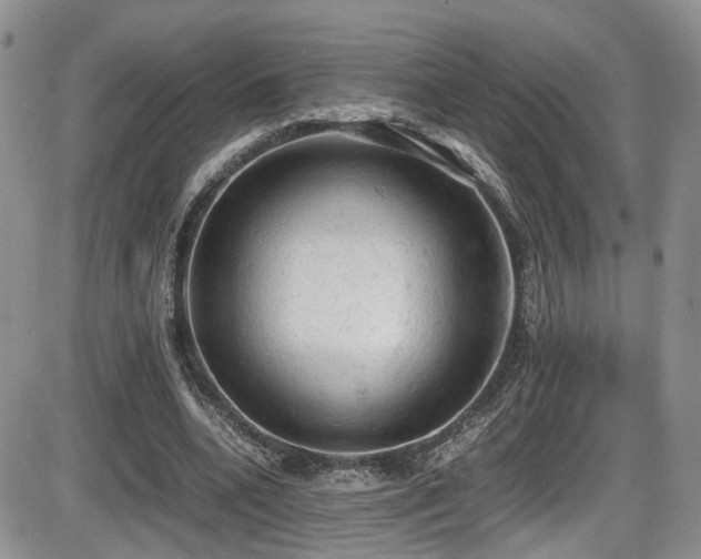 X0000086030536200703231214