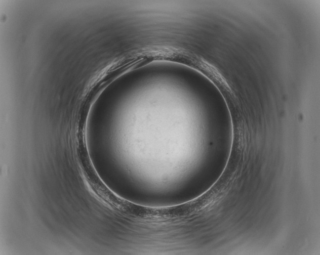 X0000086030538200703231214