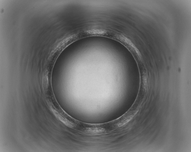 X0000086030541200703231214