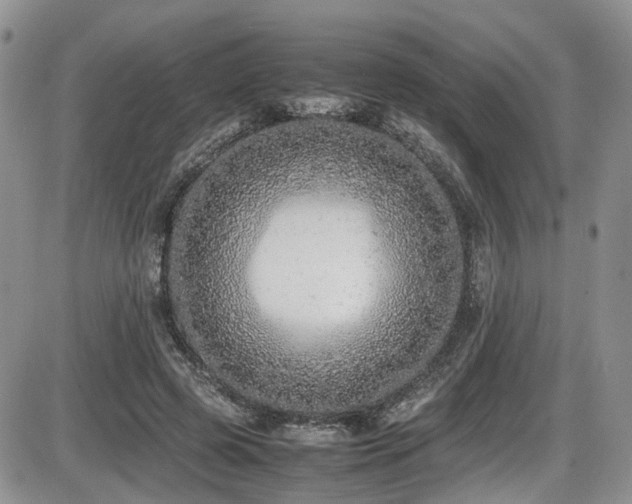 X0000086030545200703231214