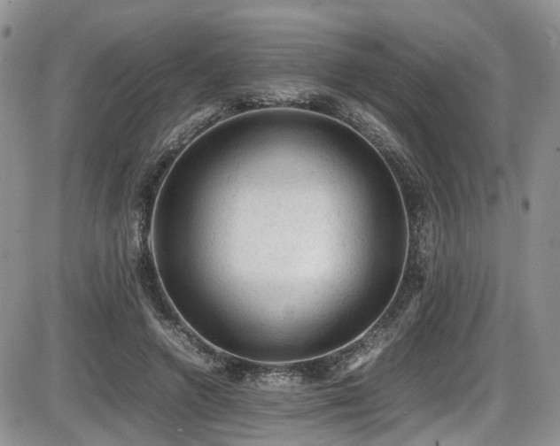 X0000086030546200703231214