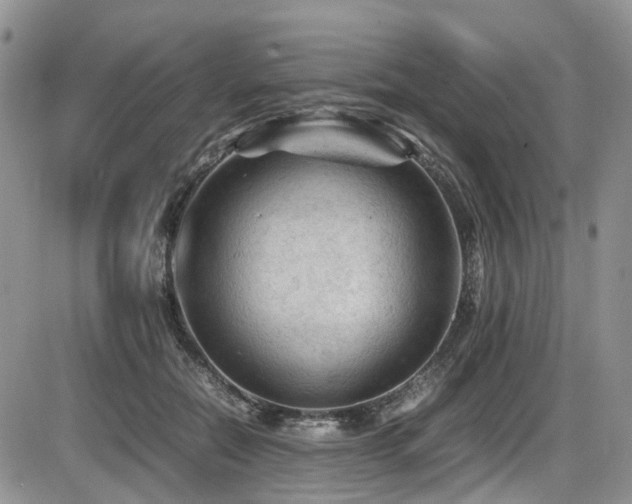 X0000086030554200703231215