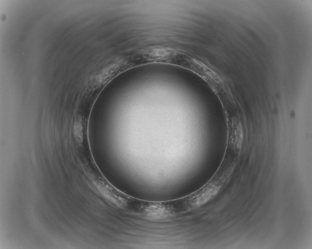 X0000086030562200703231215