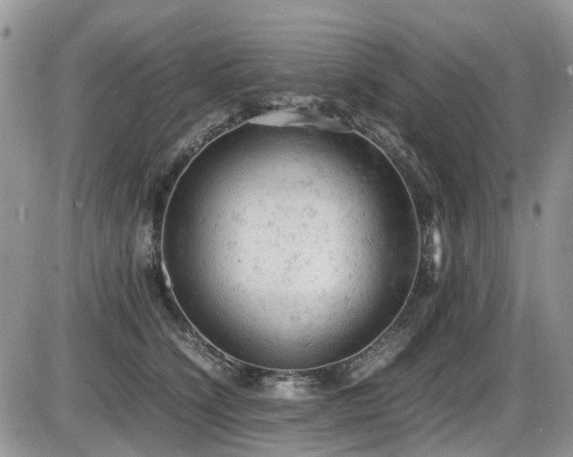 X0000086030564200703231215