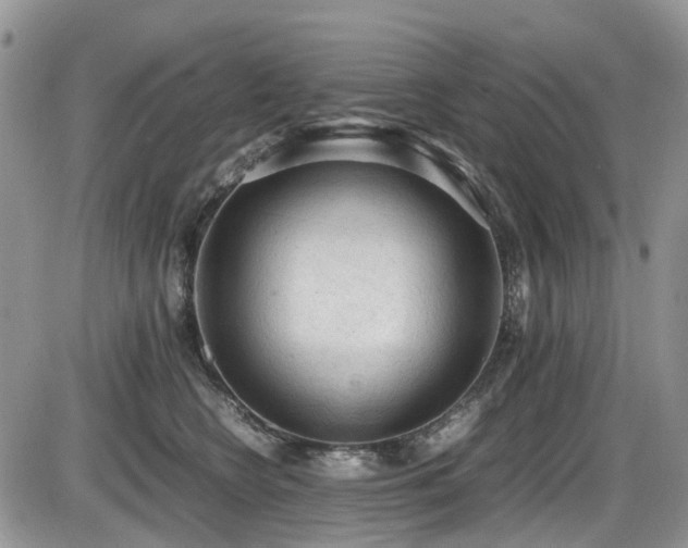 X0000086030566200703231215