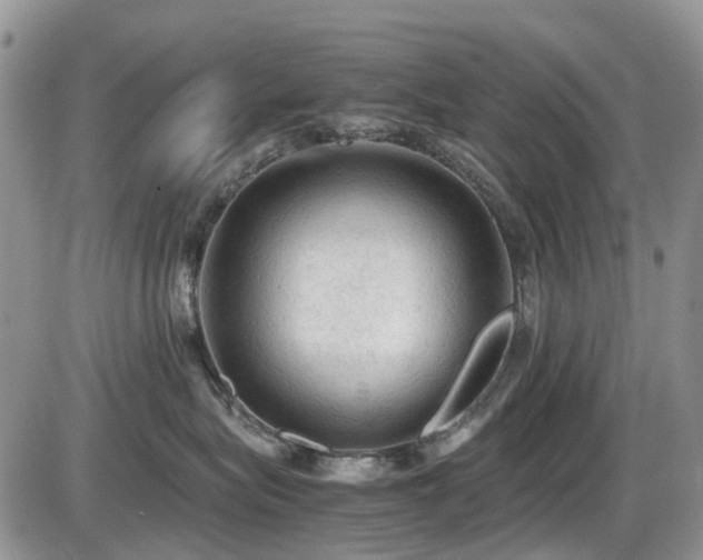 X0000086030575200703231215