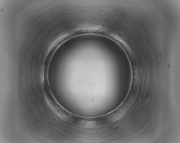 X0000086030582200703231214