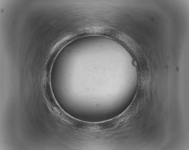 X0000086030583200703231214