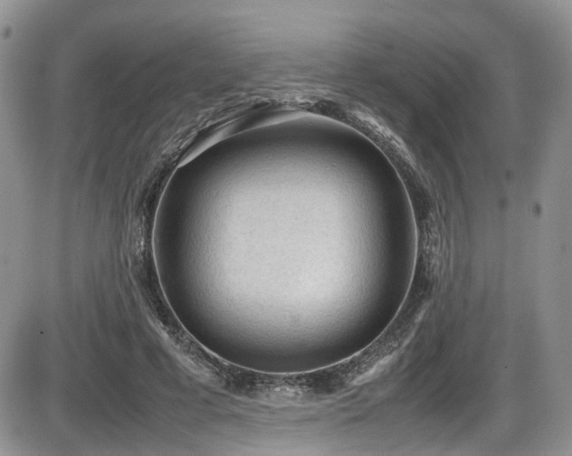 X0000086030593200703231214