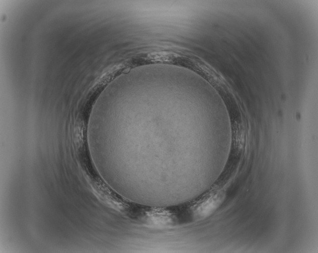 X0000086030603200703231214