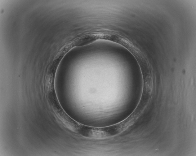 X0000086030605200703231214