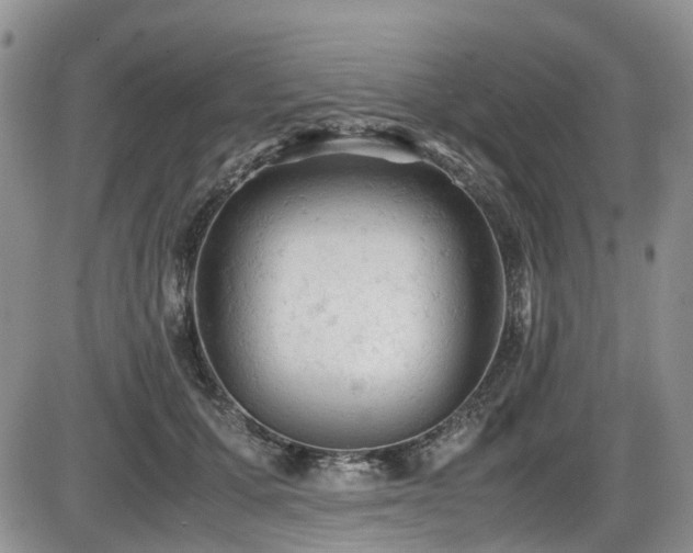 X0000086030607200703231214