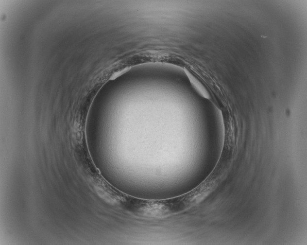 X0000086030609200703231214