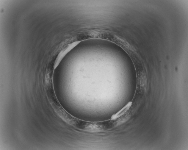 X0000086030611200703231214
