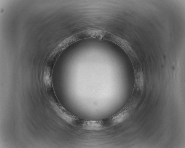 X0000086030622200703231213